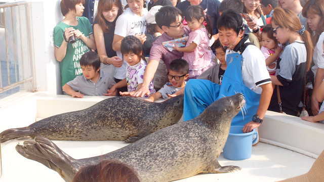 さまざまな生き物に実際に触れることができます。